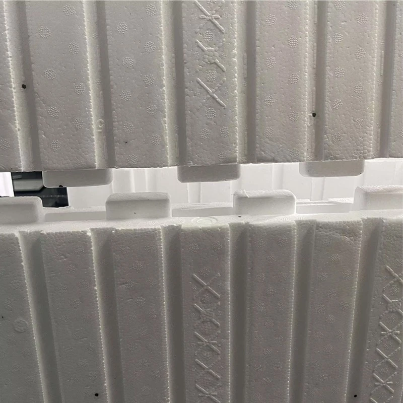 EPS ICF block (16)